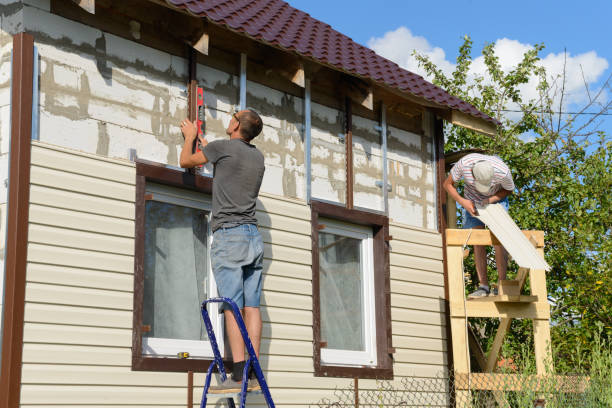 Best Siding for New Construction  in Annandale, VA