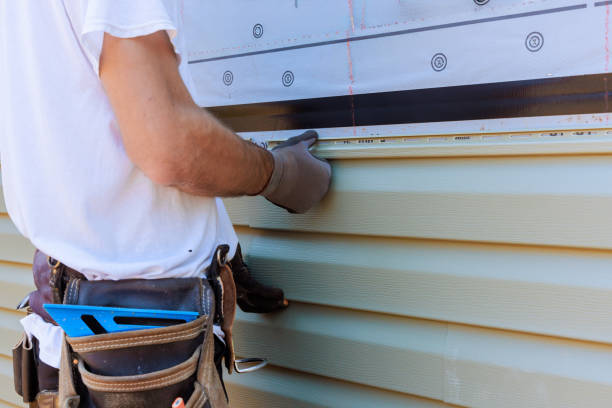 Best Aluminum Siding Installation  in Annandale, VA